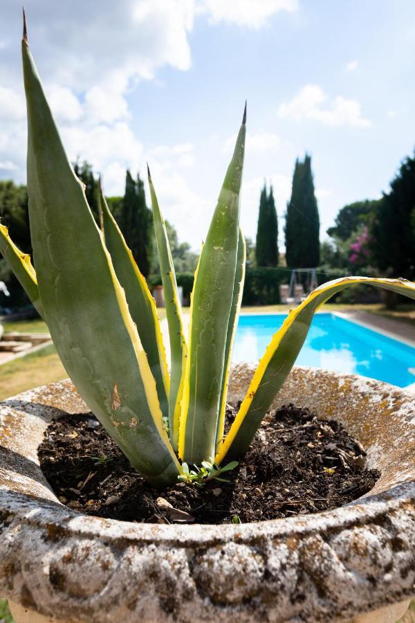 Appartamento Villa Matone Grottaferrata Kültér fotó